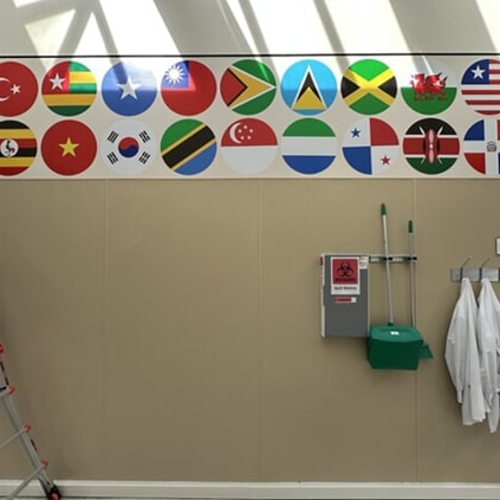 Vinyl Graphics (Wall & Door)